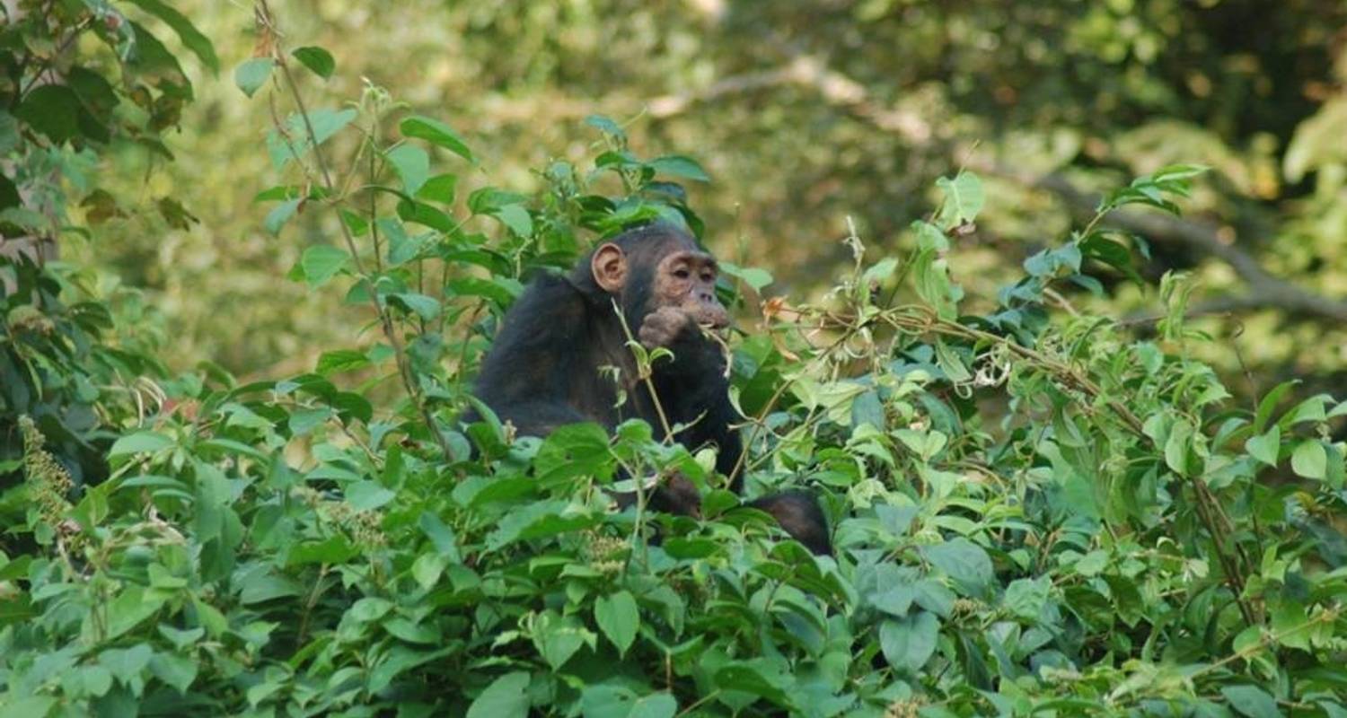 Rwanda