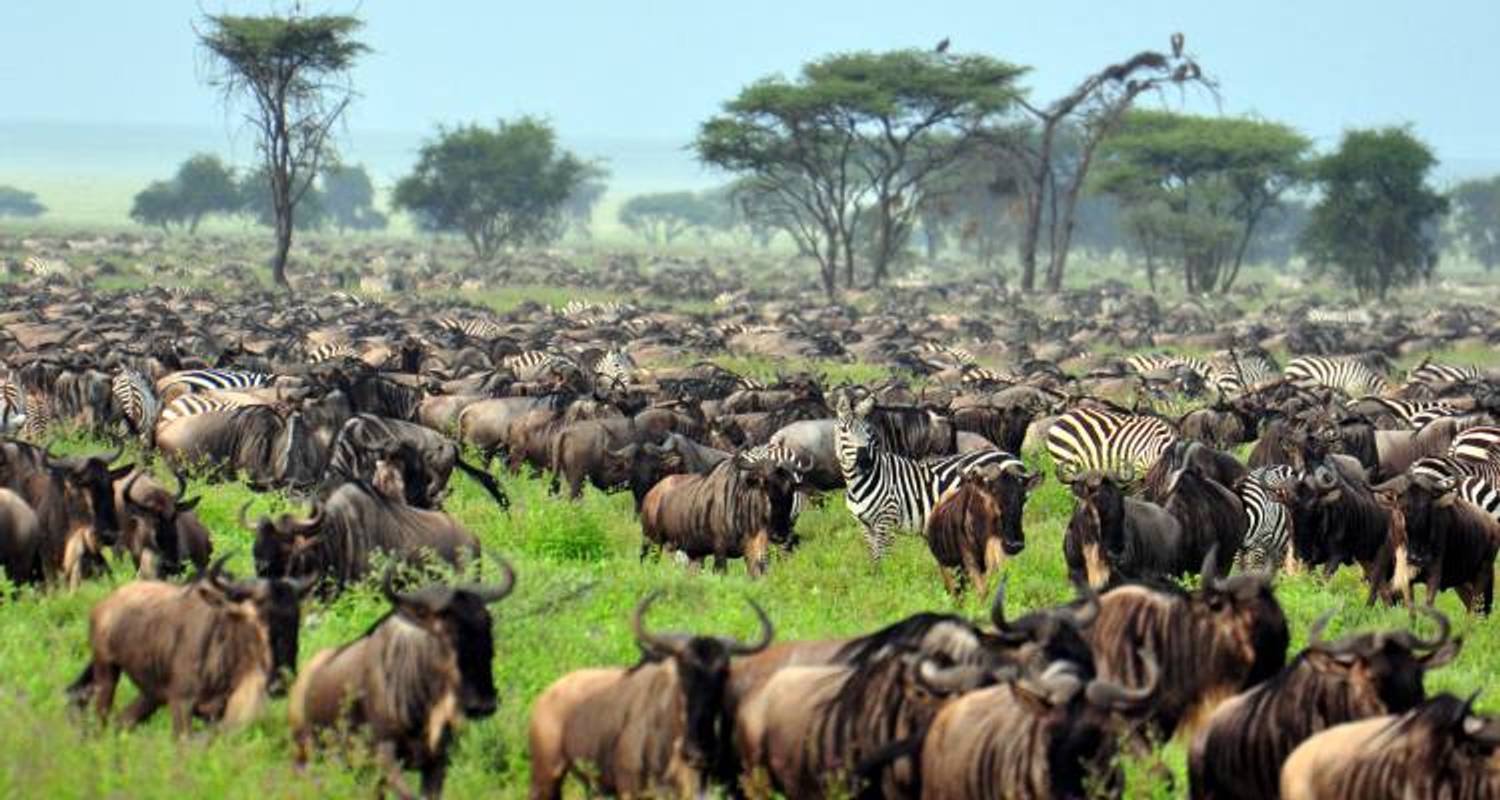 Tanzania