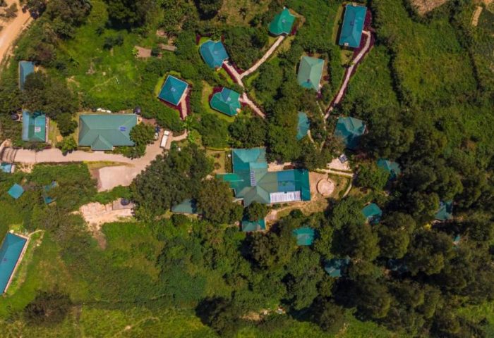 gorilla safari lodge
