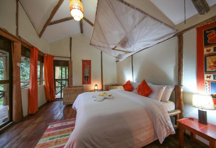 single bed gorilla safari lodge